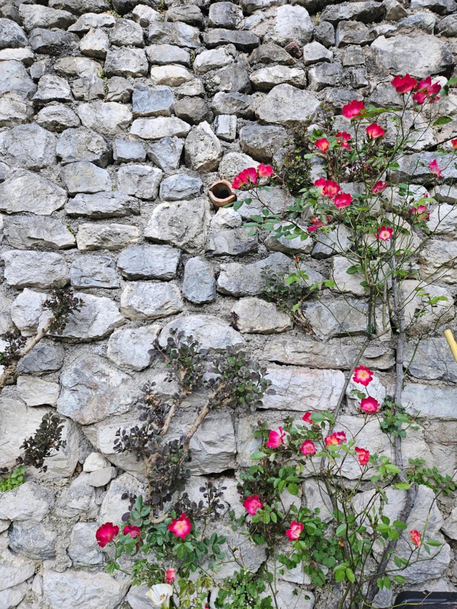 Gardainn Giardino 38A Riva del Garda Exterior foto
